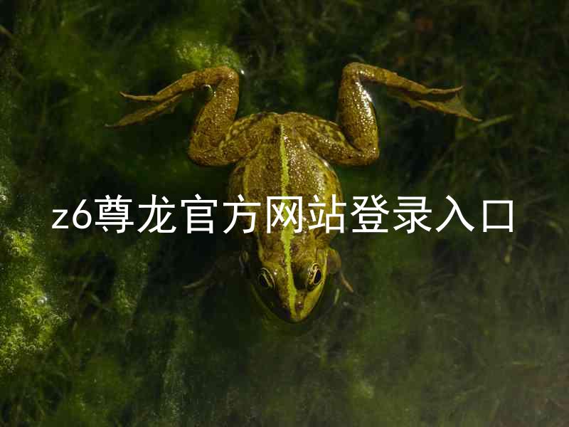 z6尊龙官方网站登录入口